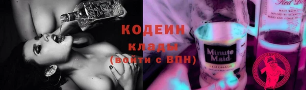стаф Козельск