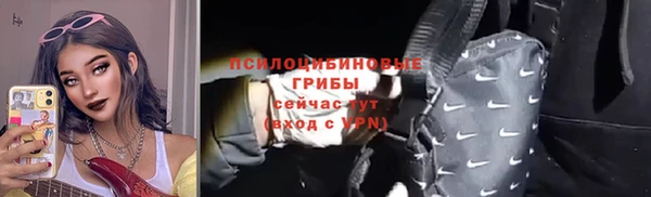 стаф Козельск
