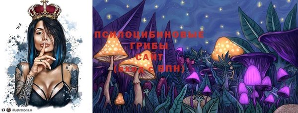кокс Корсаков