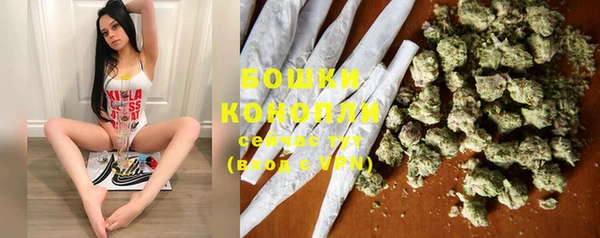 стаф Козельск