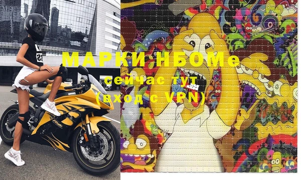 стаф Козельск