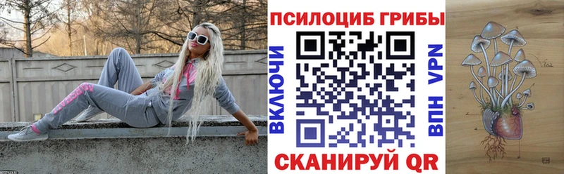 Купить закладки  Валуйки  Галлюциногенные грибы GOLDEN TEACHER 